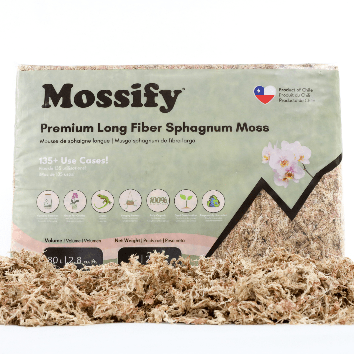 Premium Long Fiber Sphagnum Moss – Orchid & Kokedama Substrate (150g) - Ed's Plant Shop