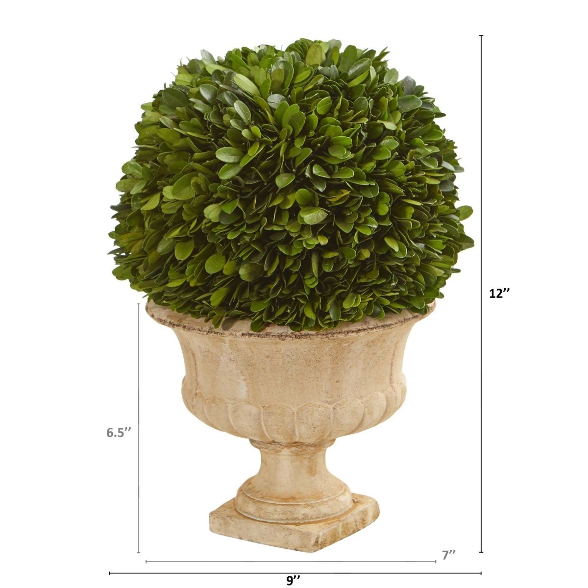 Preserved Boxwood Ball in Decorative Urn - 12" - Ed's Plant Shop