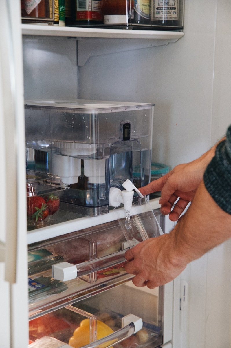Pure Dispenser | Fluoride & PFAS - Free Water Solution - Ed's Plant Shop