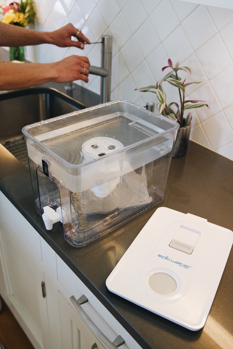 Pure Dispenser | Fluoride & PFAS - Free Water Solution - Ed's Plant Shop