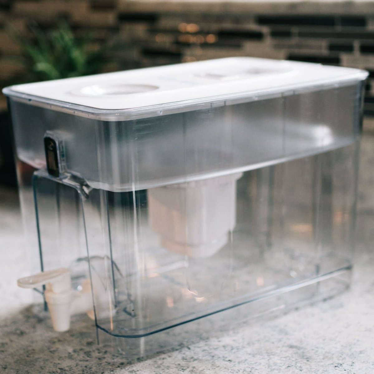 Pure Dispenser | Fluoride & PFAS - Free Water Solution - Ed's Plant Shop