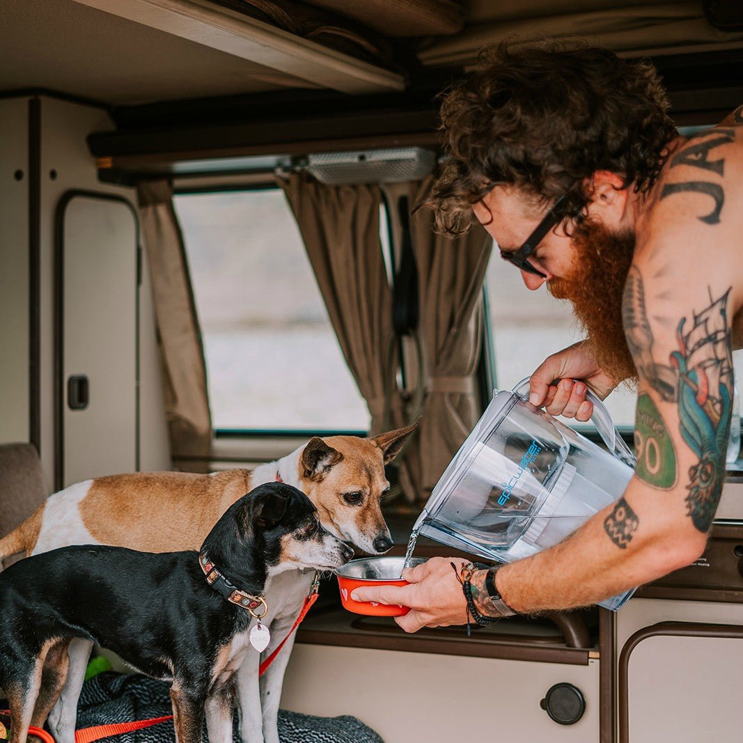 Pure Pitcher | Eco - Friendly Water Filter for Fluoride & PFAS Removal - Ed's Plant Shop