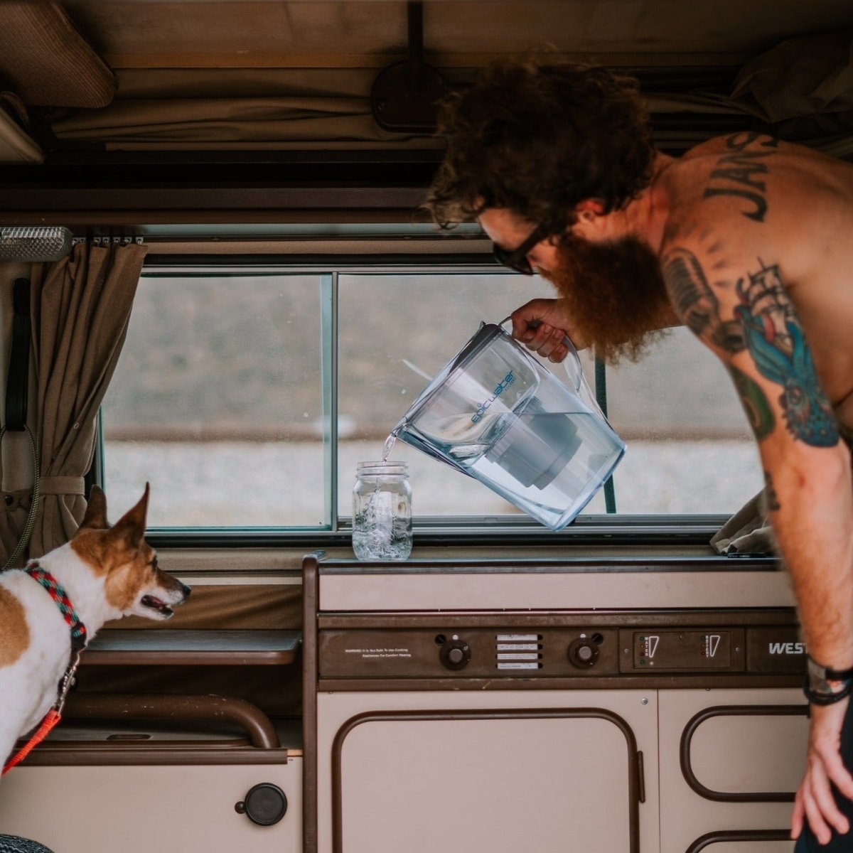 Pure Pitcher | Eco - Friendly Water Filter for Fluoride & PFAS Removal - Ed's Plant Shop