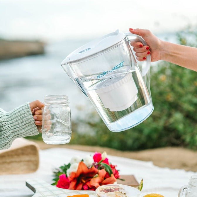 Pure Pitcher | Eco - Friendly Water Filter for Fluoride & PFAS Removal - Ed's Plant Shop