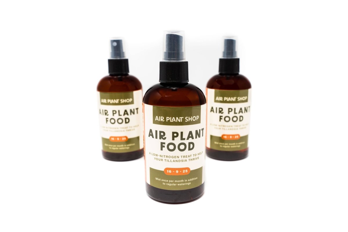 Ready - To - Use Tillandsia Air Plant Fertilizer - Ed's Plant Shop