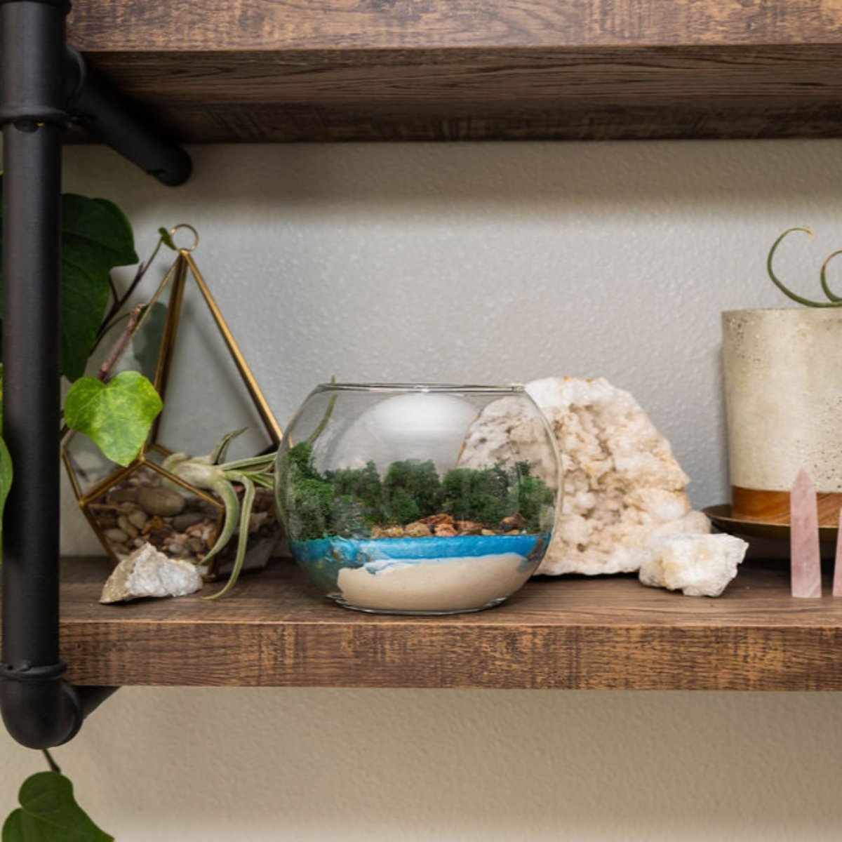 Resin Terrarium Kit - Ed's Plant Shop