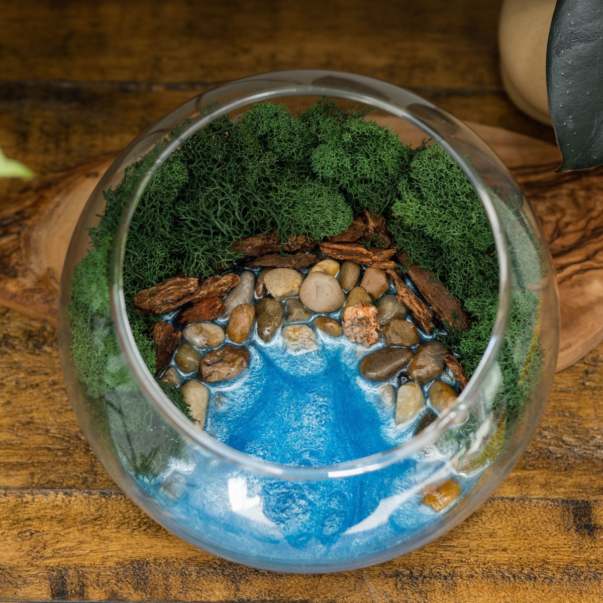 Resin Terrarium Kit - Ed's Plant Shop