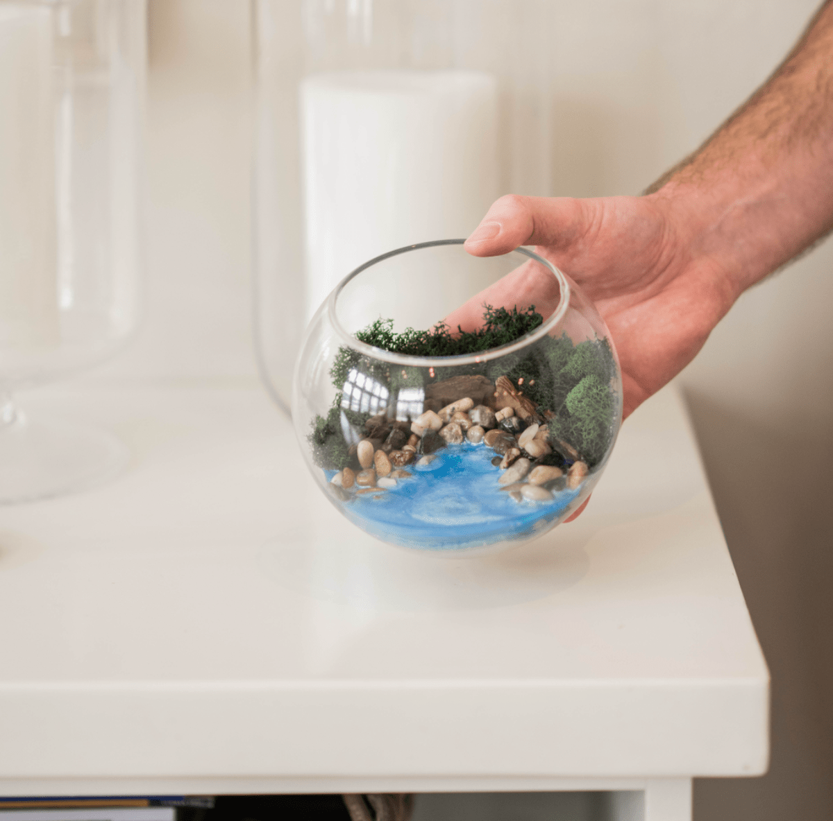 Resin Terrarium Kit - Ed's Plant Shop