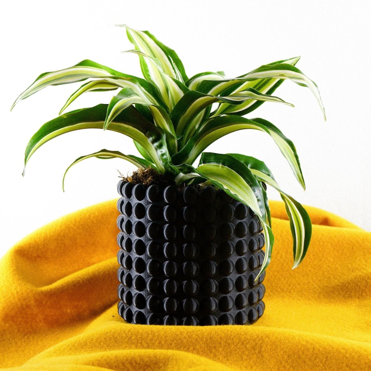 Ring of Pearls 3D Printed Planter – Modern Ribbed Indoor Pot with Drainage - Ed's Plant Shop