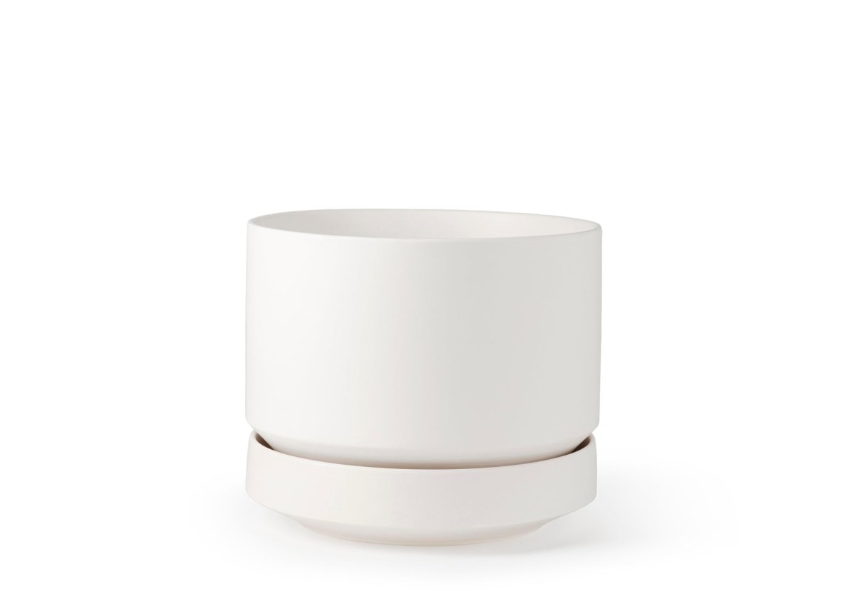 Round Two Ceramic Planter – 4", 6", 8", 10" (With Drainage & Saucer) - Ed's Plant Shop