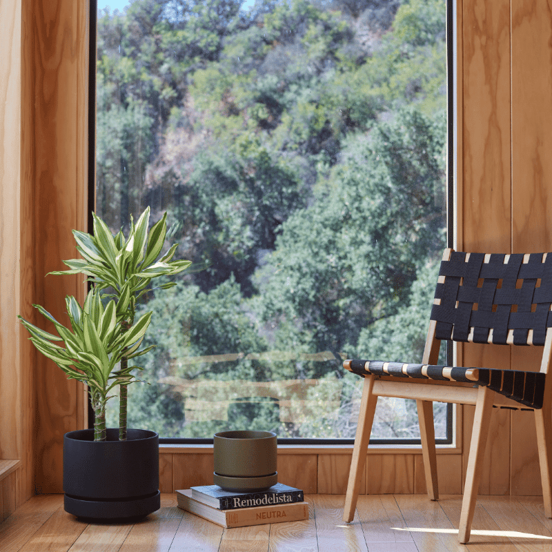 Round Two Ceramic Planter – 4", 6", 8", 10" (With Drainage & Saucer) - Ed's Plant Shop