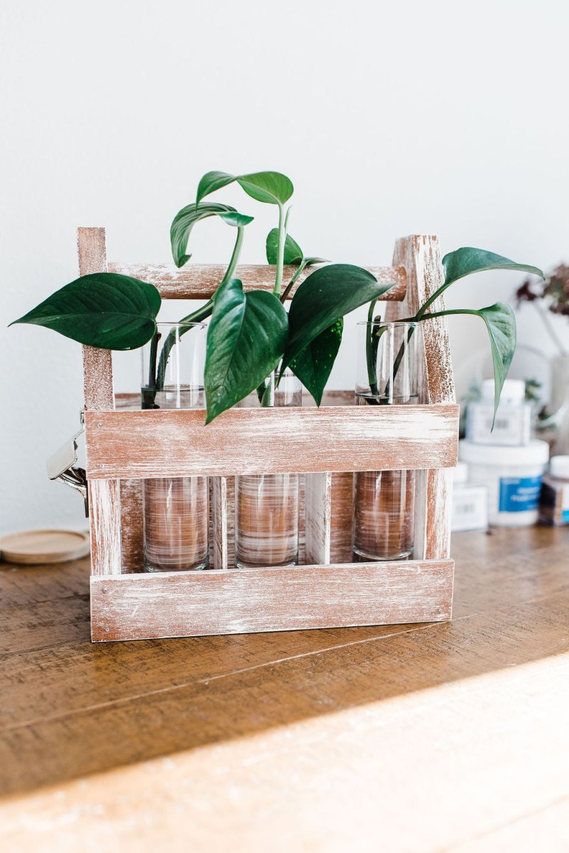 Rustic DIY Weathered Wood Caddy Kit – Customizable Home Decor - Ed's Plant Shop