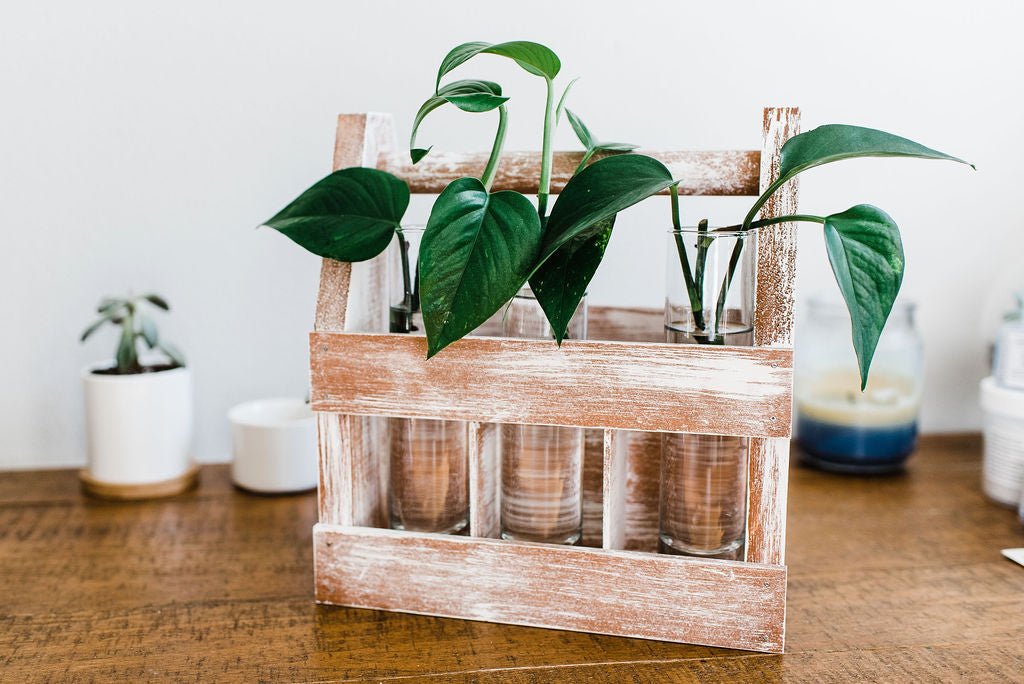 Rustic DIY Weathered Wood Caddy Kit – Customizable Home Decor - Ed's Plant Shop