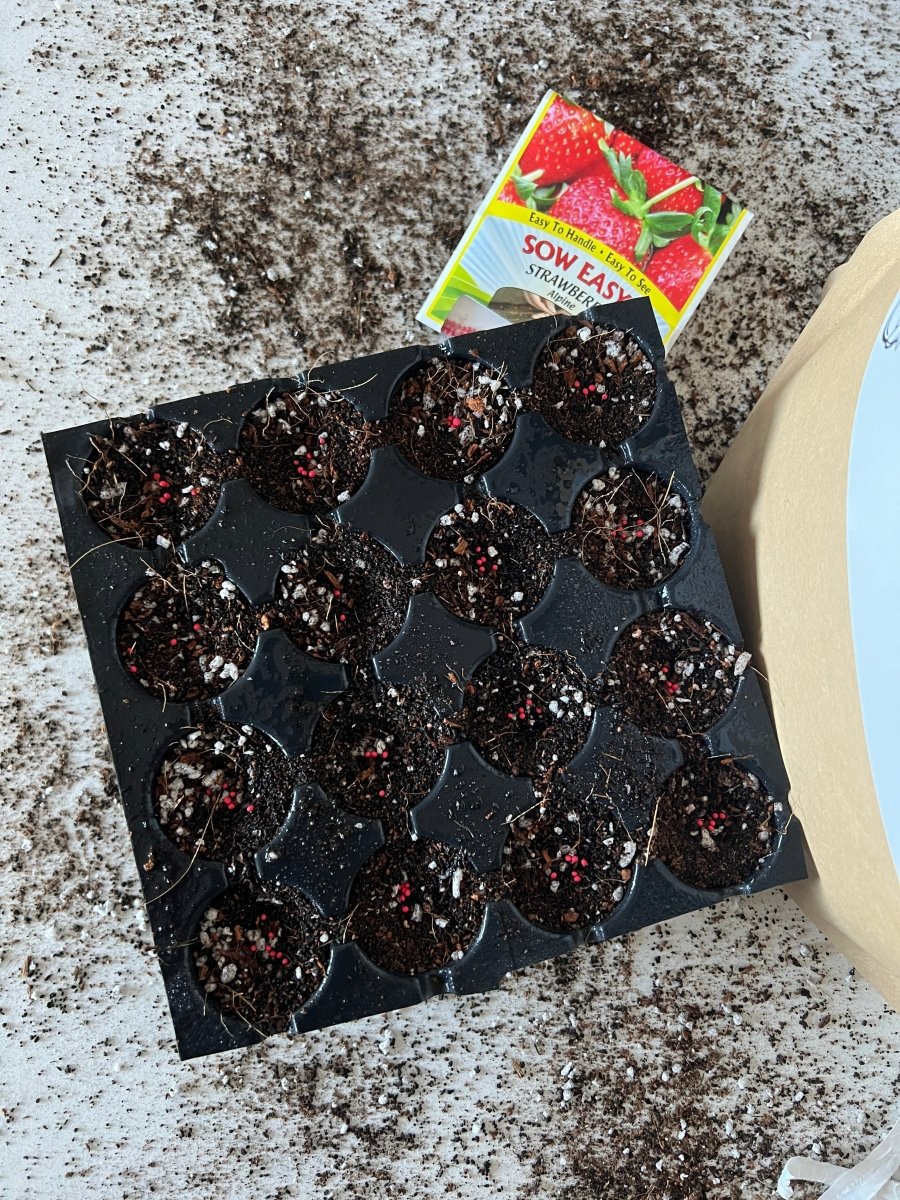 Seedling Mix - Seed Staring Soil For All Seeds - Ed's Plant Shop