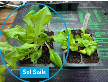Seedling & Propagation Mix - Ed's Plant Shop