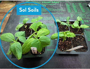 Seedling & Propagation Mix - Ed's Plant Shop