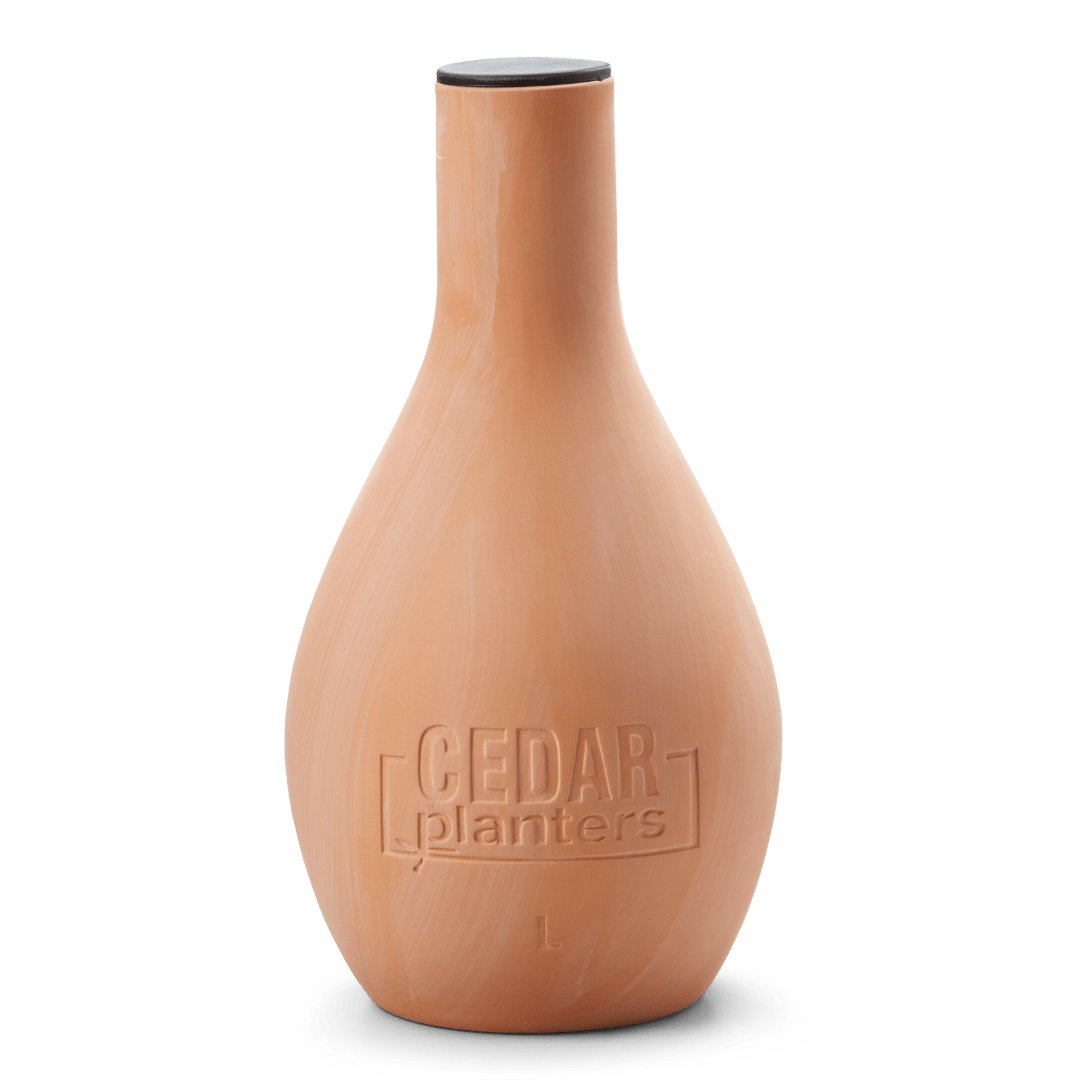 Self - Watering Clay Olla Pot – Slow - Release Irrigation System - Ed's Plant Shop