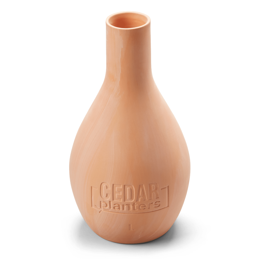 Self - Watering Clay Olla Pot – Slow - Release Irrigation System - Ed's Plant Shop