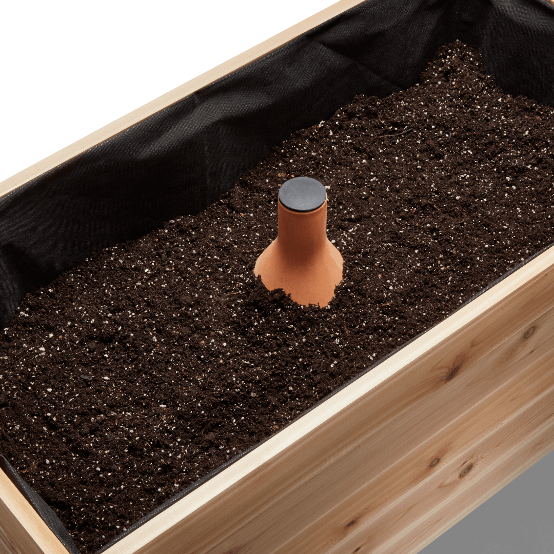 Self - Watering Clay Olla Pot – Slow - Release Irrigation System - Ed's Plant Shop