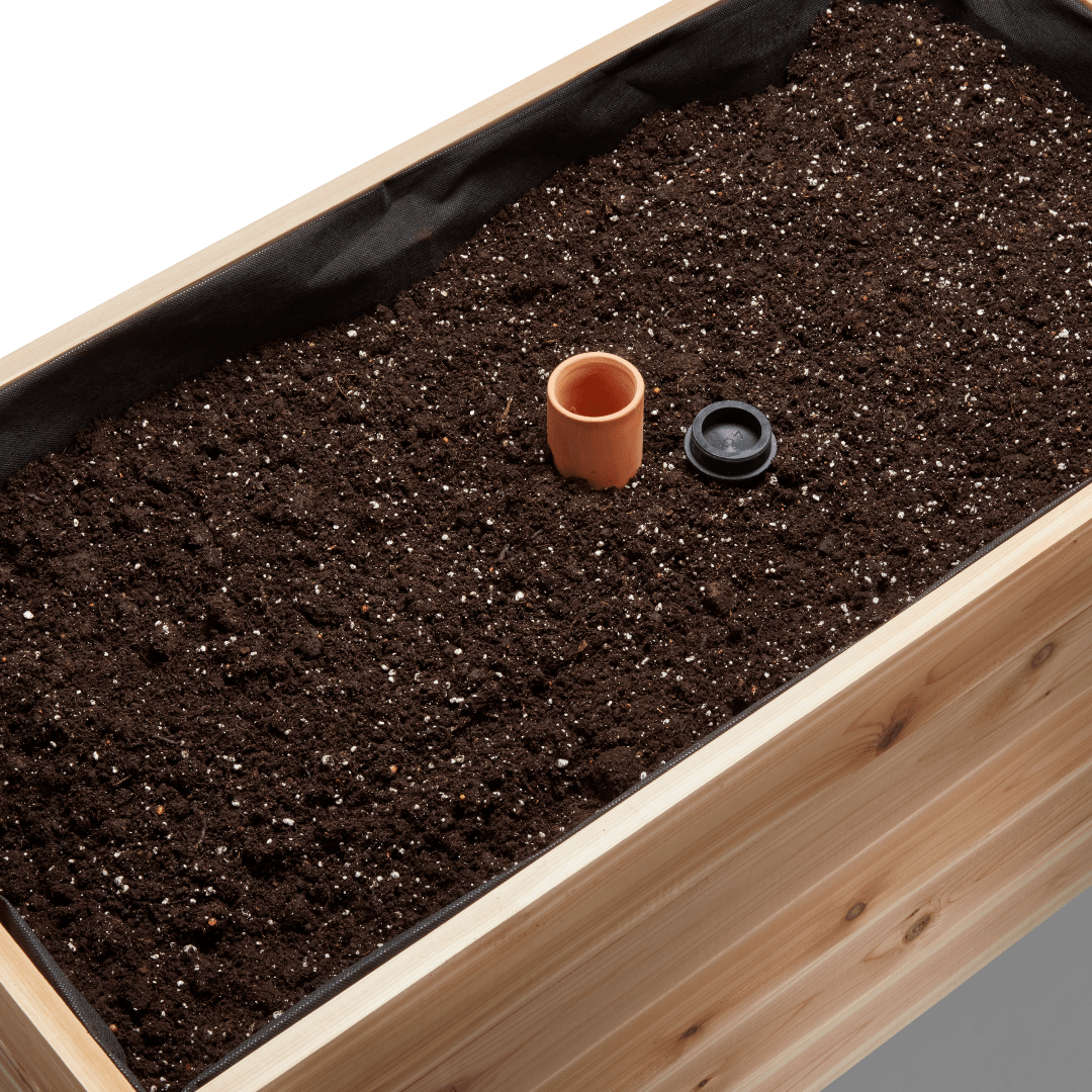 Self - Watering Clay Olla Pot – Slow - Release Irrigation System - Ed's Plant Shop