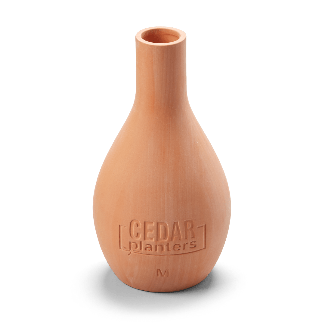 Self - Watering Clay Olla Pot – Slow - Release Irrigation System - Ed's Plant Shop