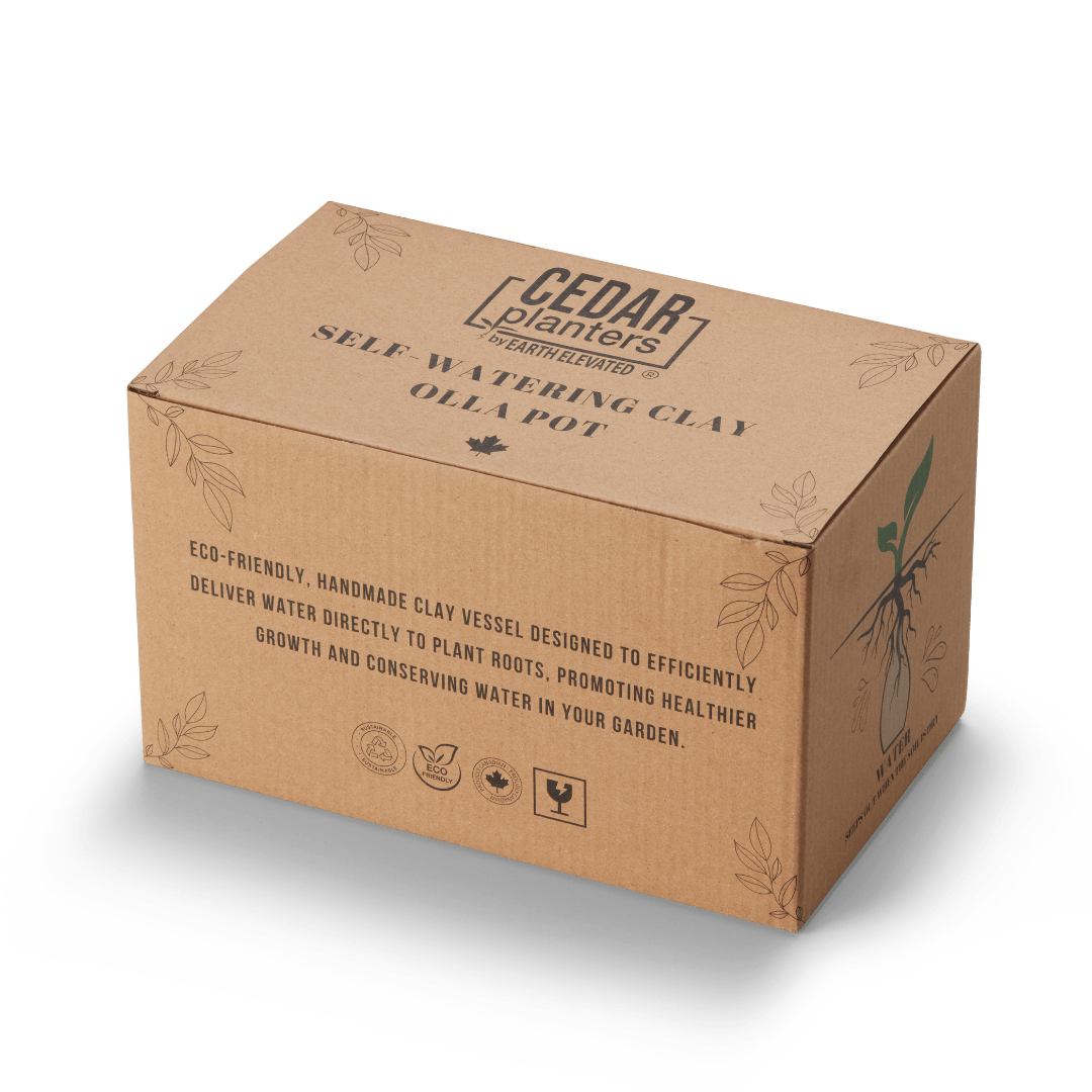 Self - Watering Clay Olla Pot – Slow - Release Irrigation System - Ed's Plant Shop