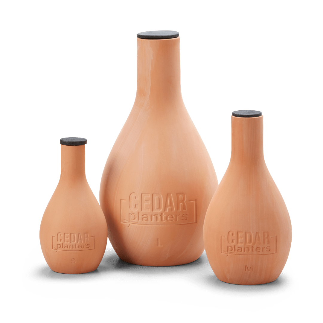 Self - Watering Clay Olla Pot – Slow - Release Irrigation System - Ed's Plant Shop