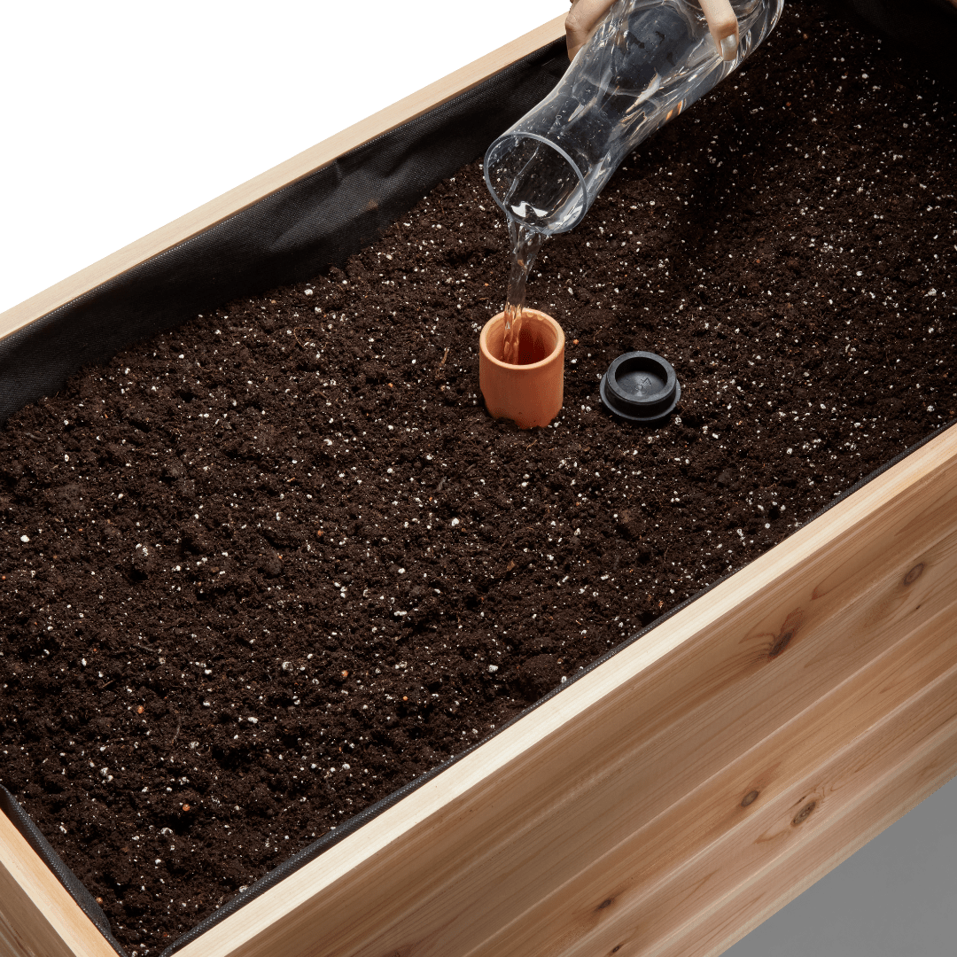 Self - Watering Clay Olla Pot – Slow - Release Irrigation System - Ed's Plant Shop