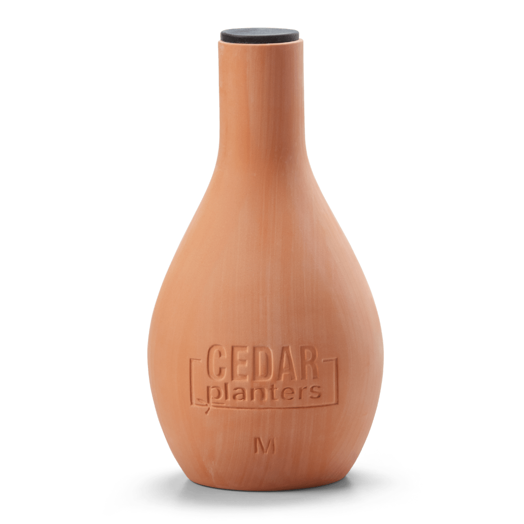 Self - Watering Clay Olla Pot – Slow - Release Irrigation System - Ed's Plant Shop