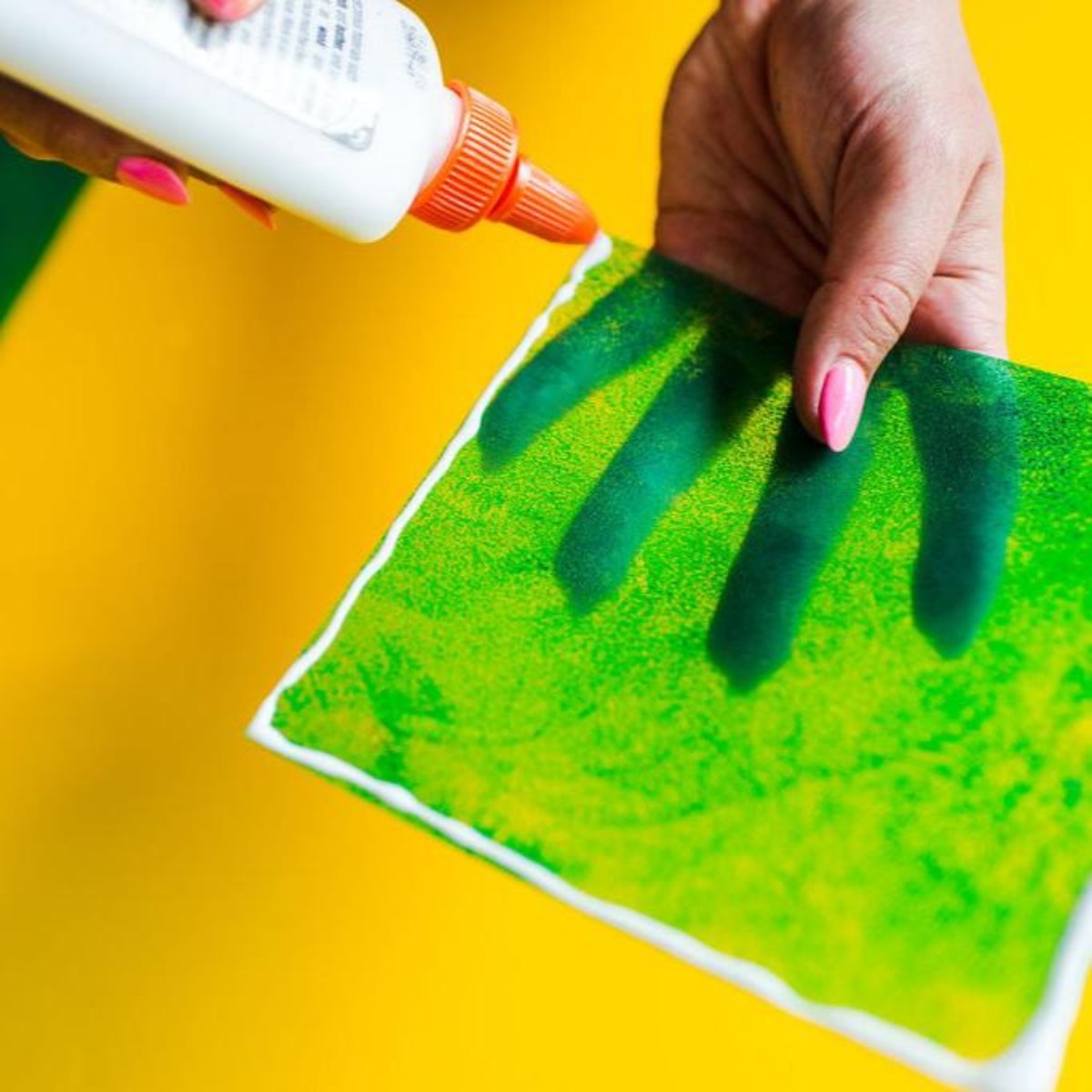 Shadow Light Kit - Ed's Plant Shop