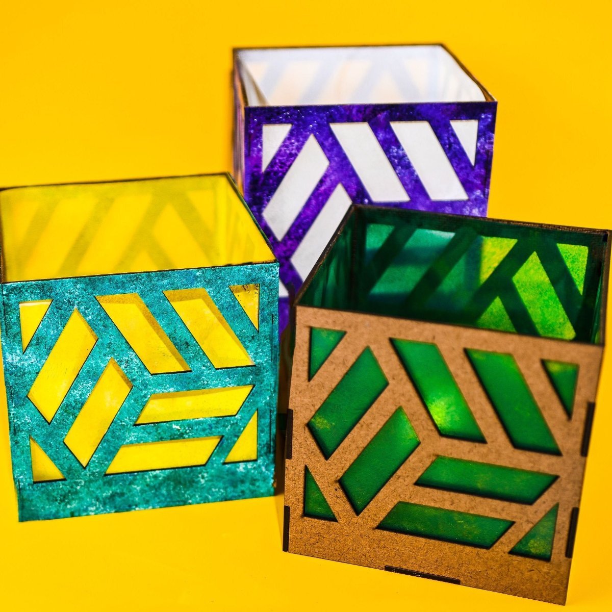 Shadow Light Kit - Ed's Plant Shop