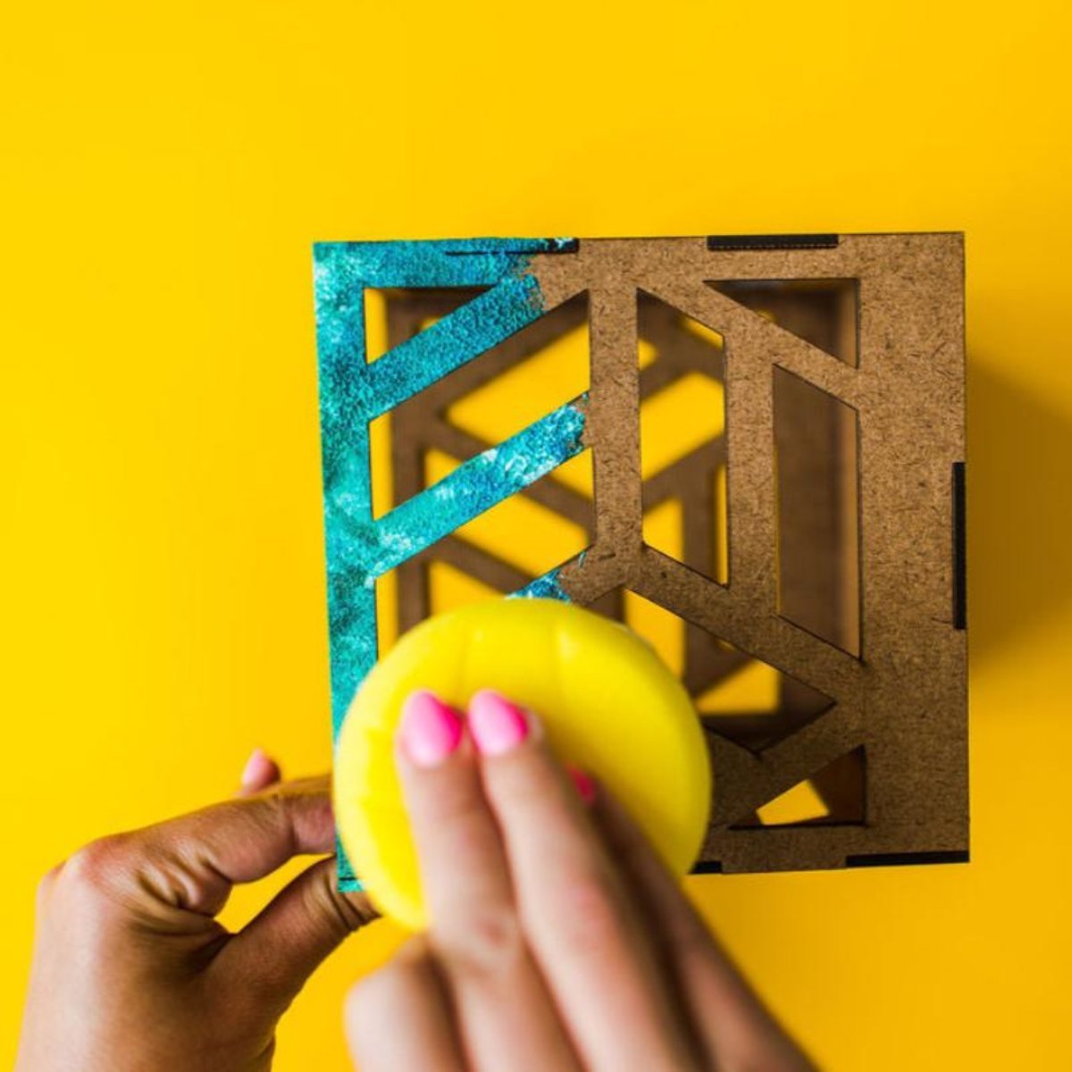 Shadow Light Kit - Ed's Plant Shop