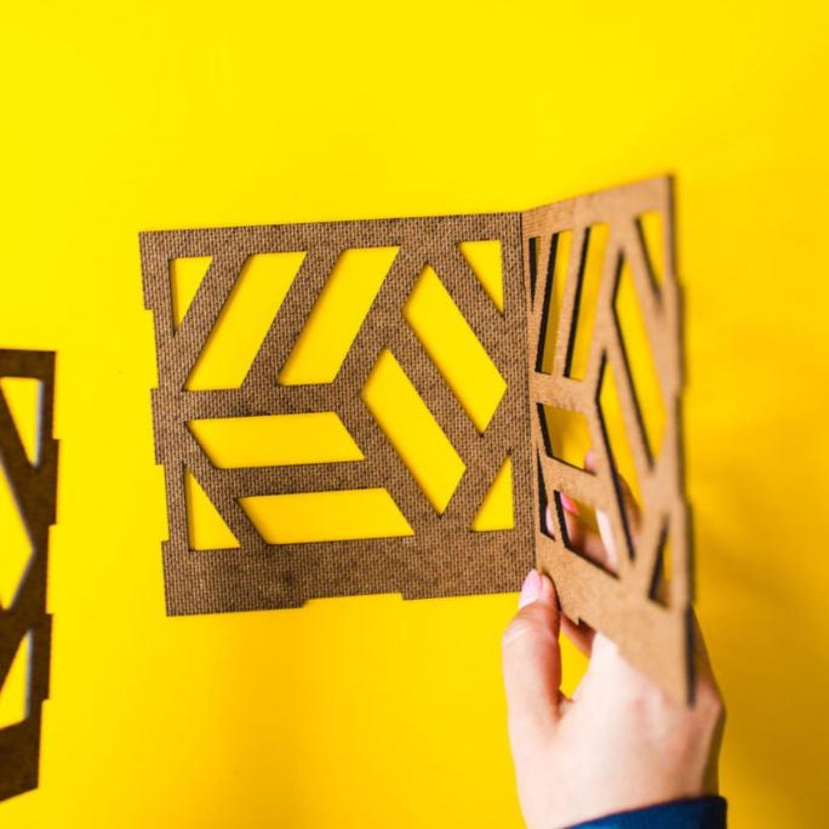 Shadow Light Kit - Ed's Plant Shop