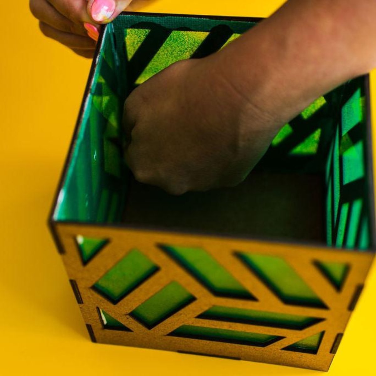 Shadow Light Kit - Ed's Plant Shop