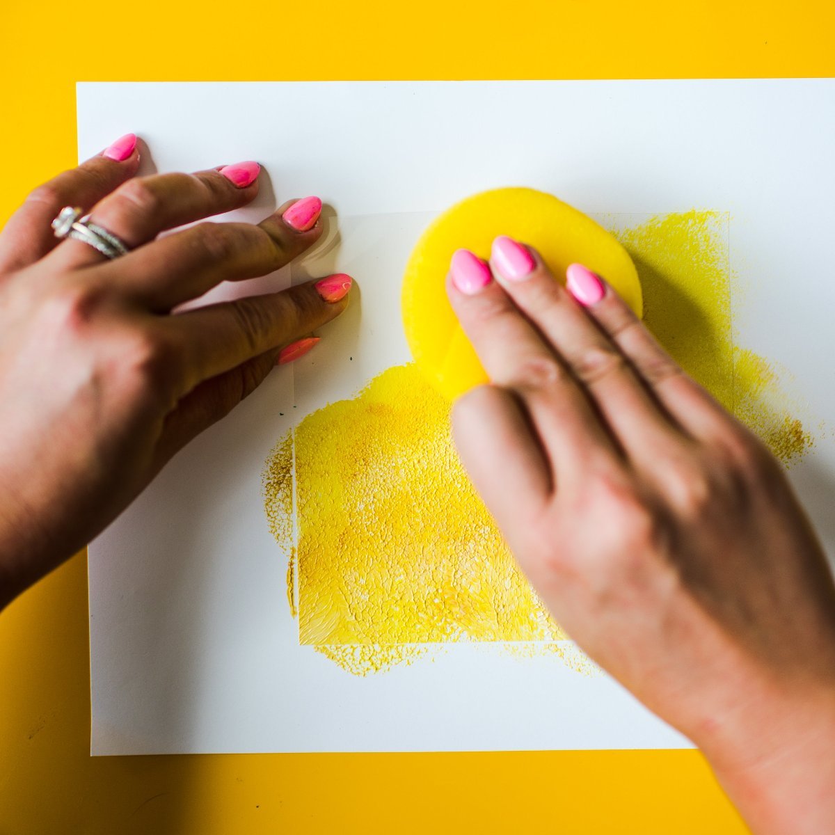 Shadow Light Kit - Ed's Plant Shop