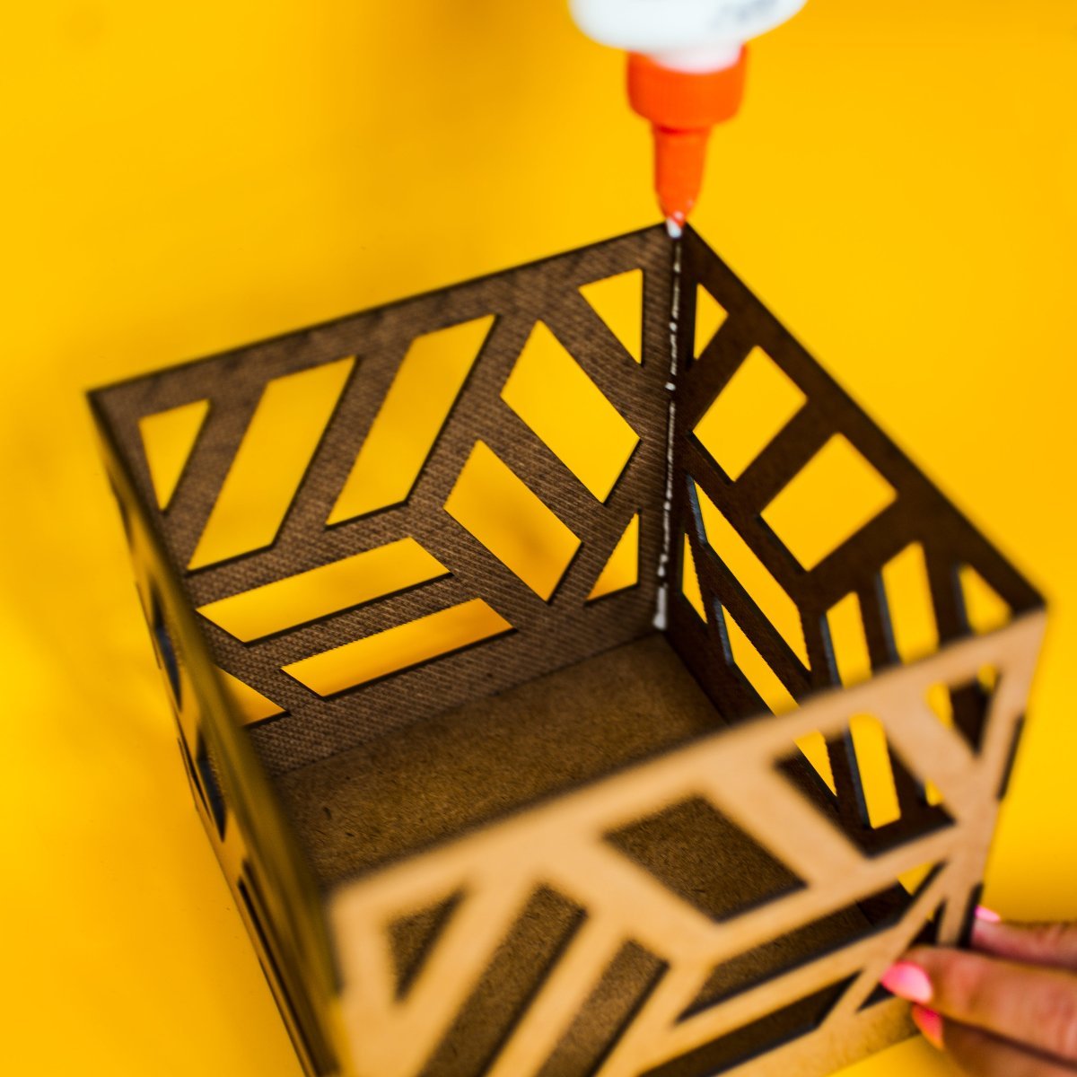 Shadow Light Kit - Ed's Plant Shop