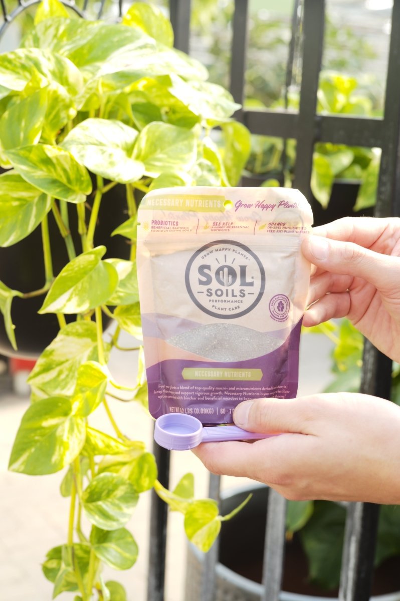 Sol Biotics Bundle Pack – Complete Plant Wellness Kit for Thriving Plants - Ed's Plant Shop