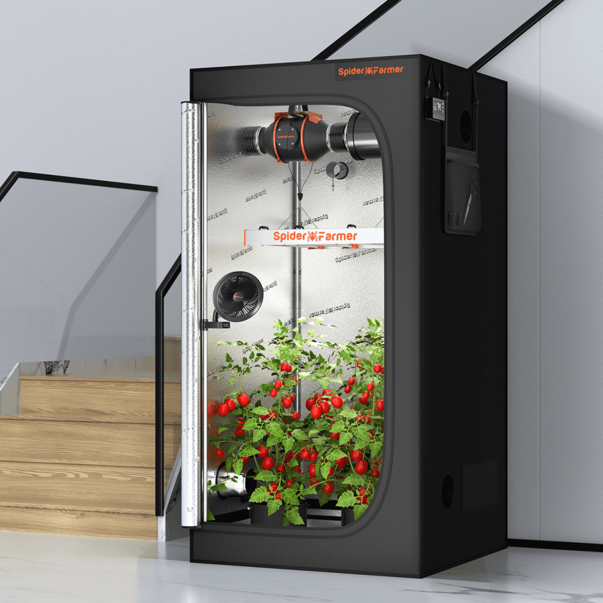 Spider Farmer 6" Clip - On Fan for Indoor Plants - Ed's Plant Shop