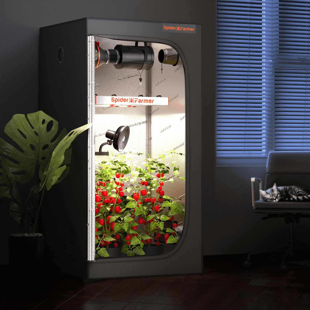 Spider Farmer 6" Clip - On Fan for Indoor Plants - Ed's Plant Shop