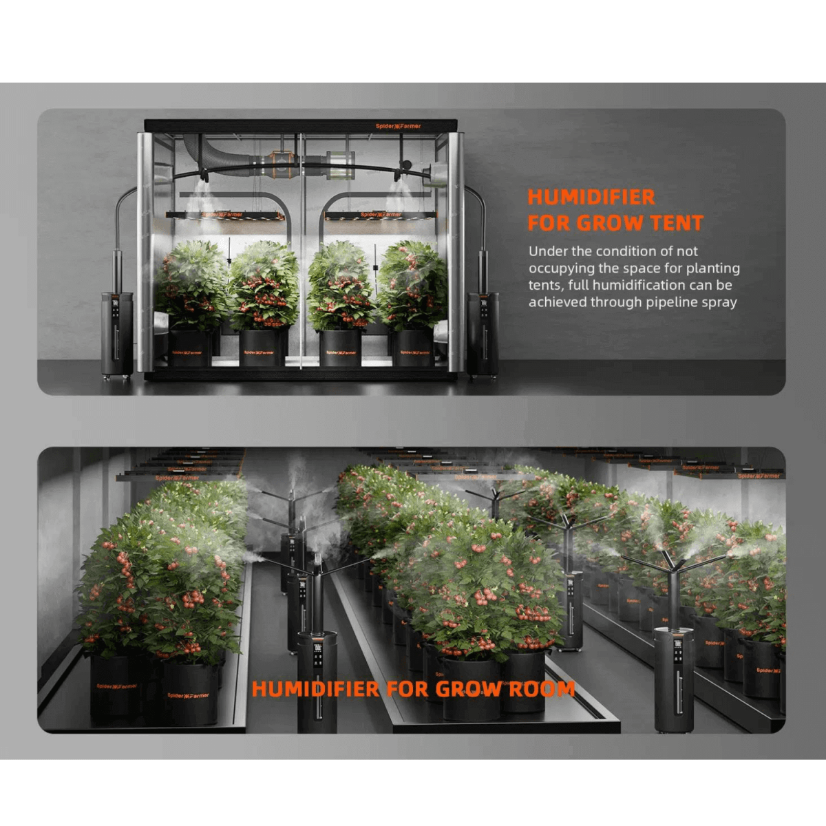 Spider Farmer Cool Mist Humidifier 16L | Precision Humidity Control for Grow Tents - Ed's Plant Shop