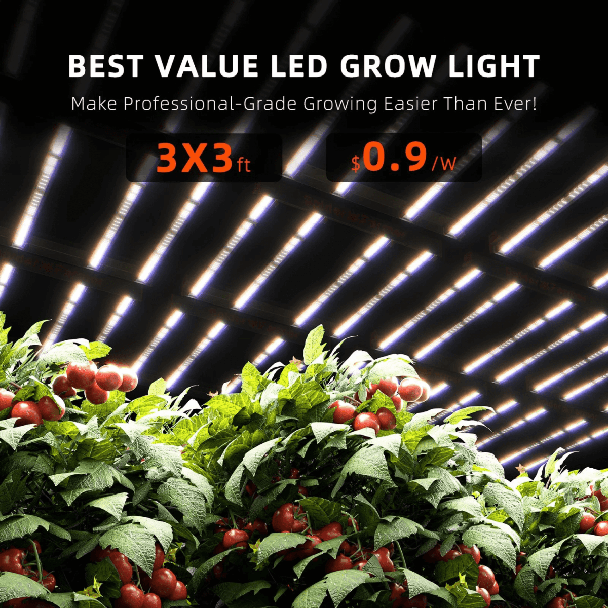 Spider Farmer G3000 300W Dimmable Full Spectrum LED Grow Light | High - Yield Solution - Ed's Plant Shop