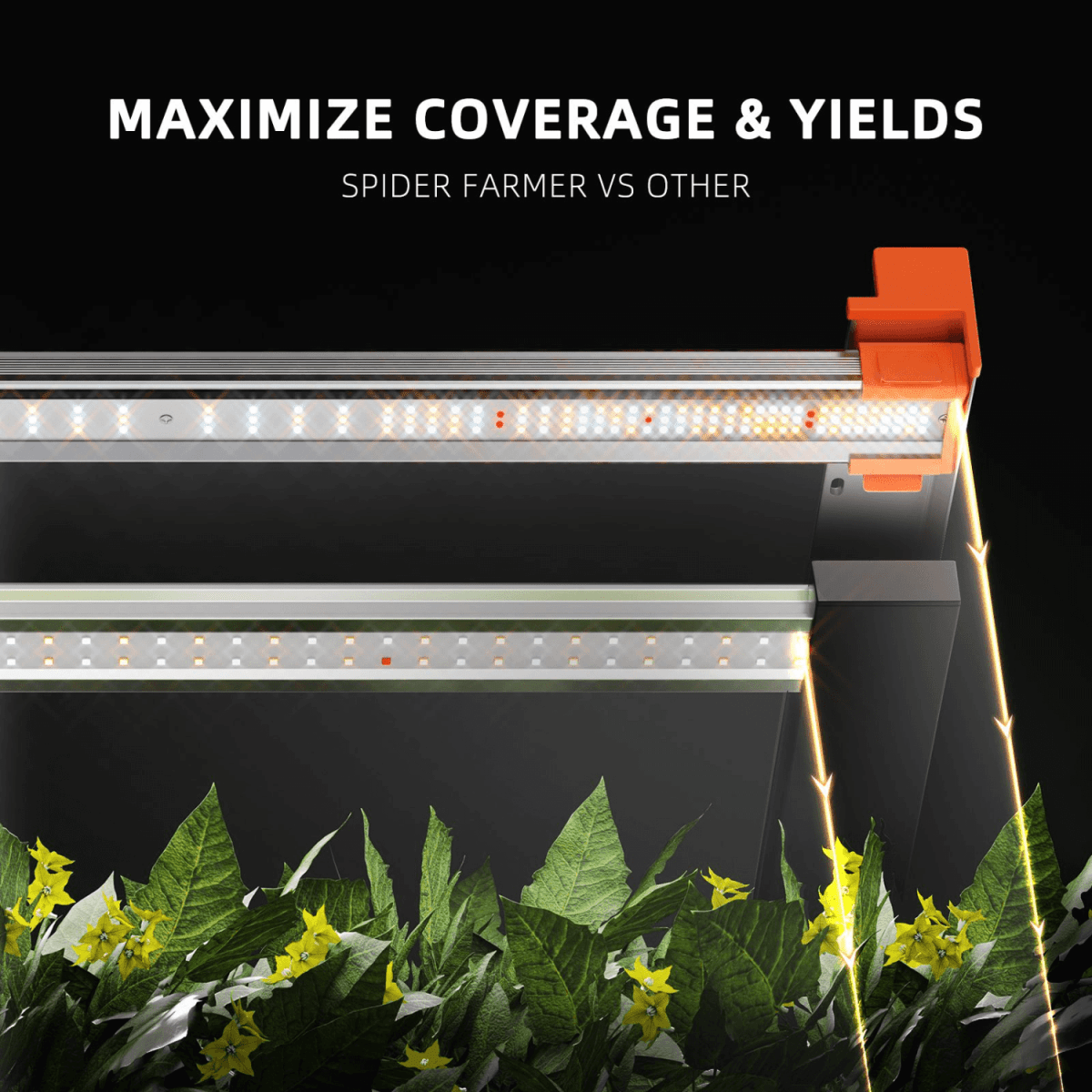 Spider Farmer G3000 300W Dimmable Full Spectrum LED Grow Light | High - Yield Solution - Ed's Plant Shop