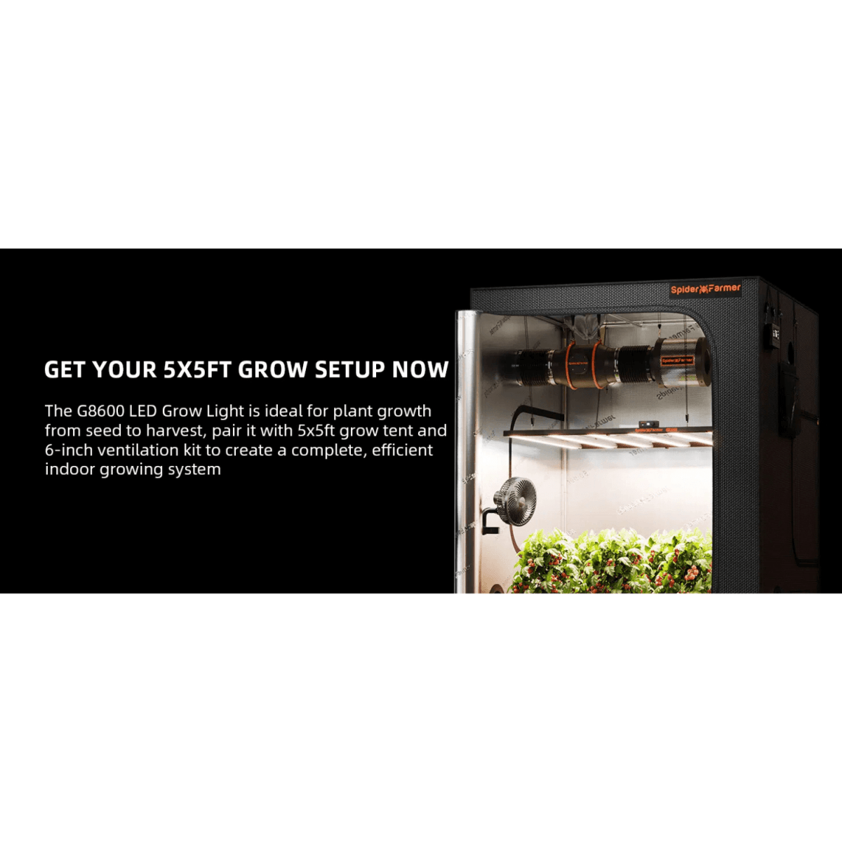 Spider Farmer G8600 860W Dimmable Full Spectrum LED Grow Light (Bridgelux) - Ed's Plant Shop