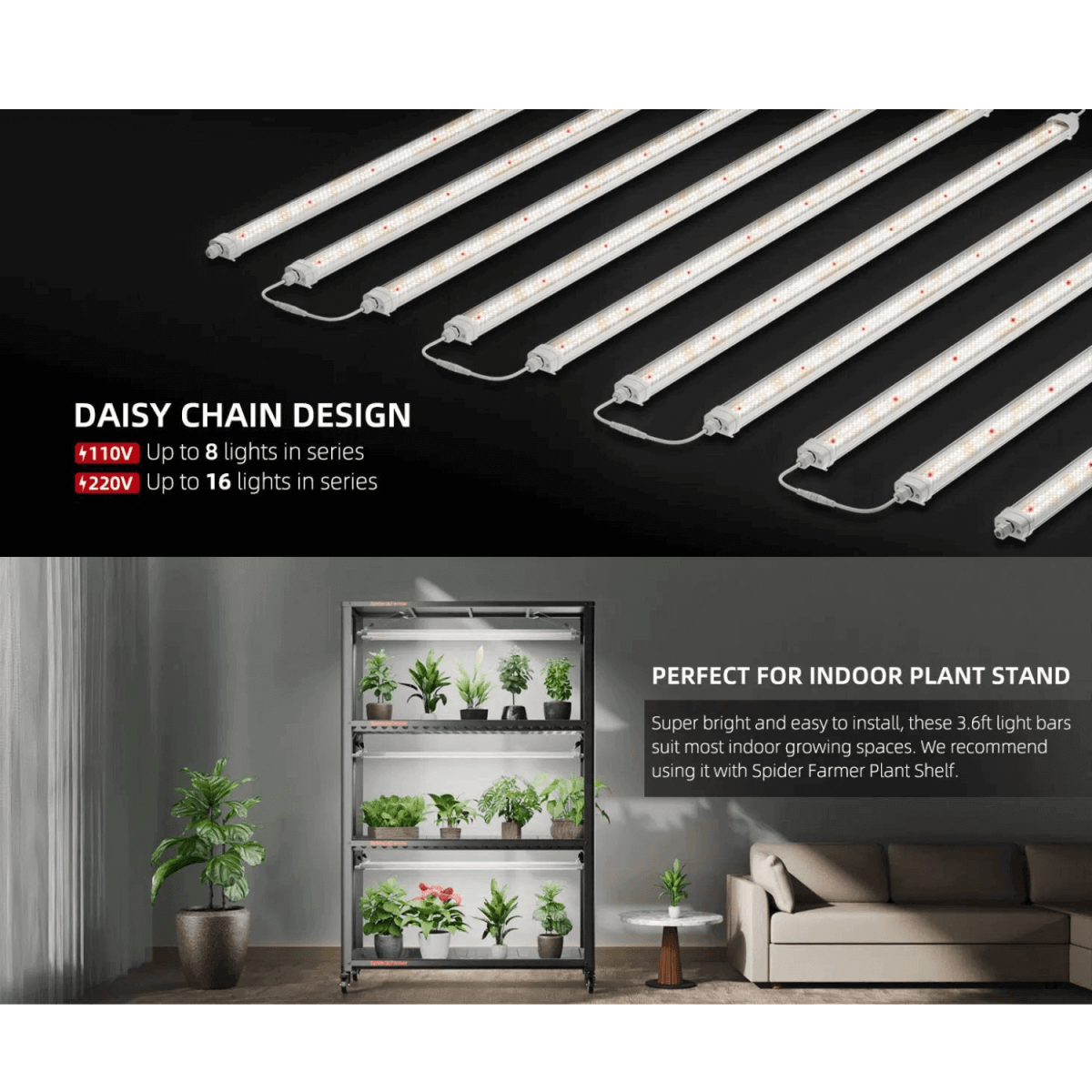 Spider Farmer Glow80 80W Full Spectrum LED Grow Light | Sunlike Spectrum for All Growth Cycles - Ed's Plant Shop