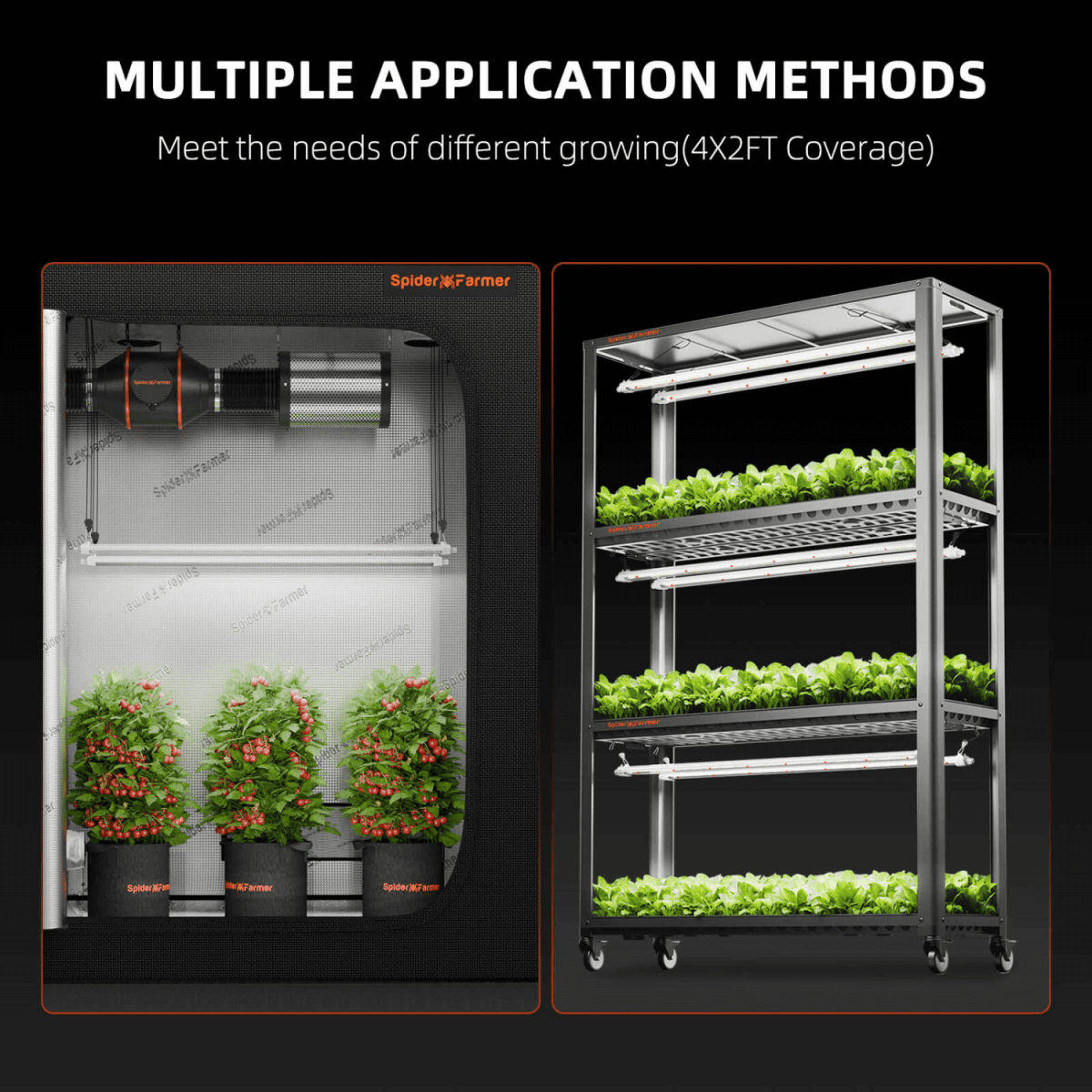 Spider Farmer Glow80 80W Full Spectrum LED Grow Light | Sunlike Spectrum for All Growth Cycles - Ed's Plant Shop