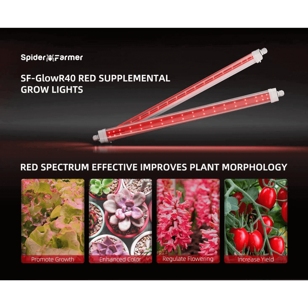 Spider Farmer GlowR40 40W 660nm Deep Red Supplemental LED Grow Light Bar - Ed's Plant Shop