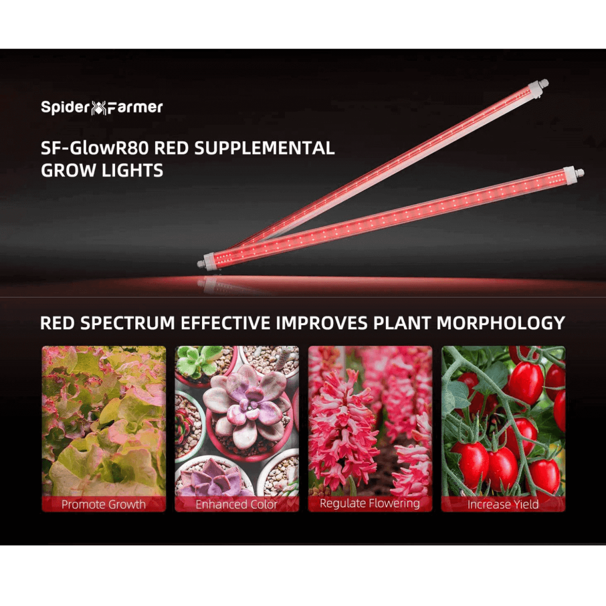 Spider Farmer GlowR80 80W 660nm Deep Red Supplemental LED Grow Light Bar - Ed's Plant Shop