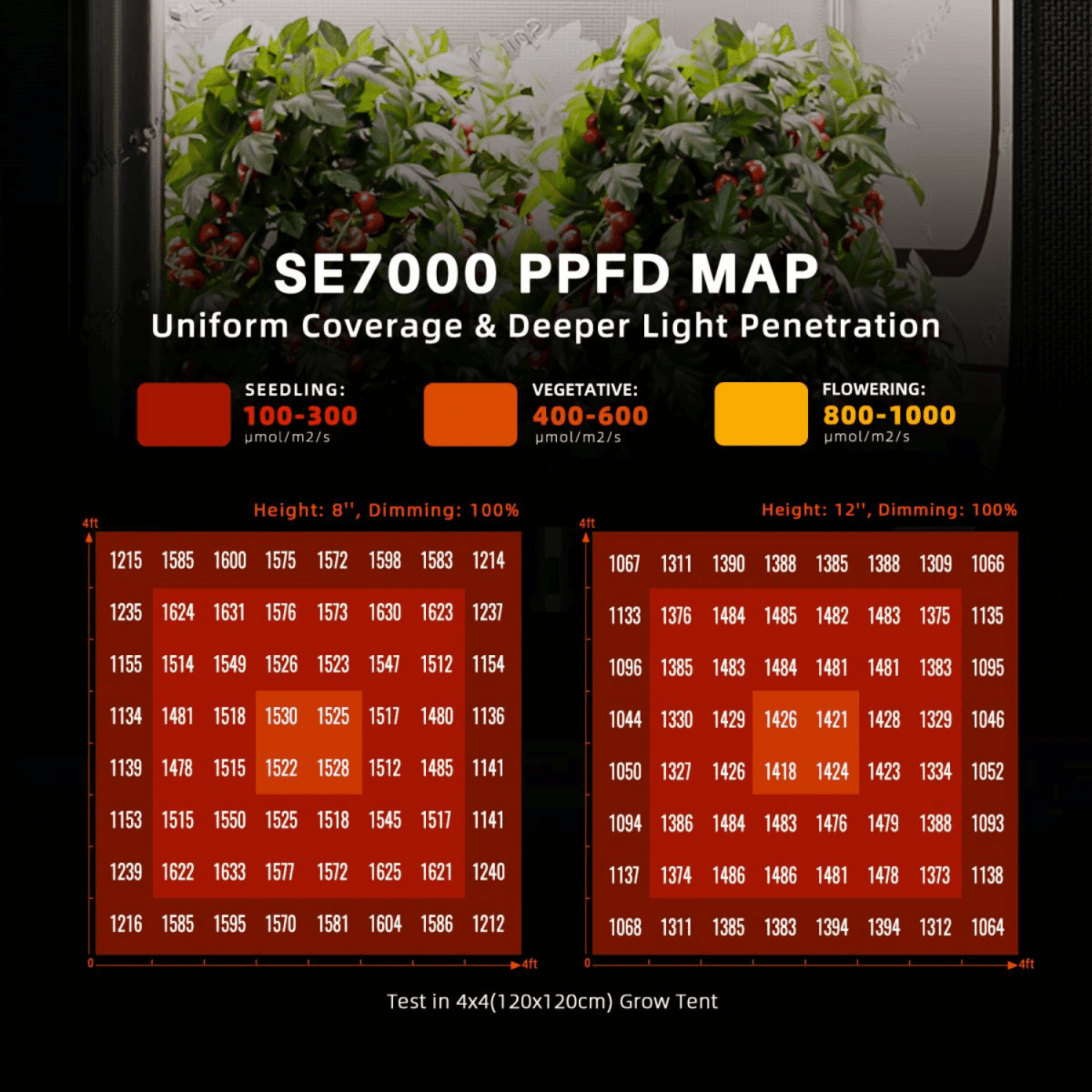 Spider Farmer SE7000 730W Dimmable Full Spectrum LED Grow Light - Ed's Plant Shop