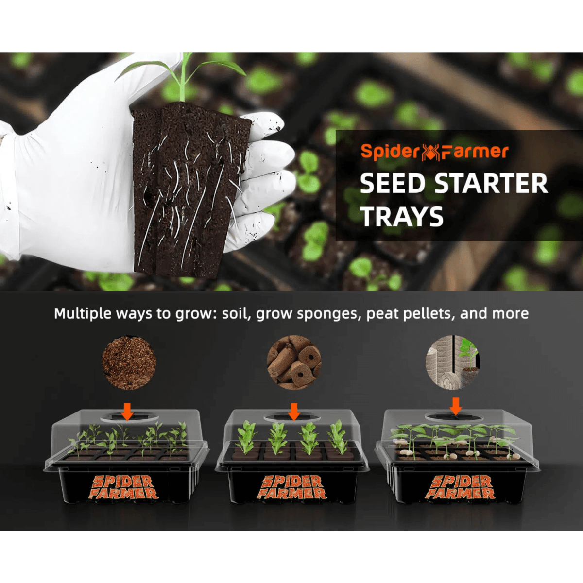 Spider Farmer Seed Starting Trays (4 - Pack) | 12 - Cell Trays with Domes for Optimal Germination - Ed's Plant Shop