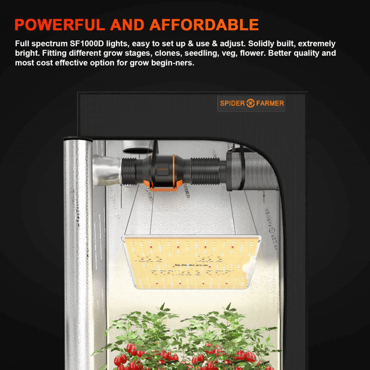 Spider Farmer SF1000D LED Grow Light | Full Spectrum, Energy Efficient, 100W - Ed's Plant Shop